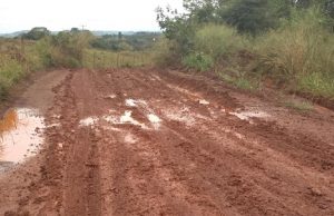Morador reclama de estrada rural: “Nem todos têm uma 4×4” Estrada está localizada no bairro Lageado, sentido Jacutinga. (Foto: Reprodução/Facebook)