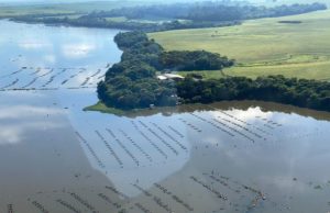 Flexibilização de licenciamento ambiental facilita vida de piscicultores do PR Flexibilização do governo estadual foi um incentivo aos produtores da região norte do Paraná. (Foto: Divulgação/Atunorpi)
