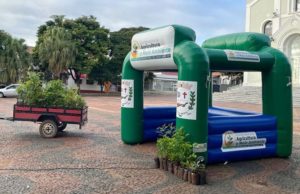 Prefeitura vai distribuir mudas na Praça da Matriz de Fartura nesta quinta (9) Mudas serão distribuídas em frente à Igreja Matriz. (Foto: Divulgação/Prefeitura de Fartura)