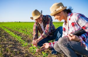 Inscrição ativa no CAF é requisito para acesso a programas e políticas para a agricultura familiar Além das instituições da antiga Rede DAP, as Prefeituras também podem integrar a Rede CAF. (Foto: Divulgação/Ministério da Agricultura, Pecuária e Abastecimento)