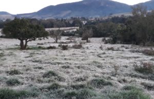 Defesa Civil de SP alerta para frio intenso no final de semana Frio intenso e geada mudaram a paisagem no bairro Caieiras, em Fartura, em julho de 2021. (Foto: Arquivo pessoal)