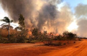 Operação Corta-Fogo registra queda de 59% nos incêndios florestais em SP Incêndios criminosos provenientes da queda de balão, uso irregular do fogo em atividades agropecuárias e vandalismo estão entre os motivos que mais causam incidentes no estado paulista. (Foto: Divulgação/Governo do Estado de SP)