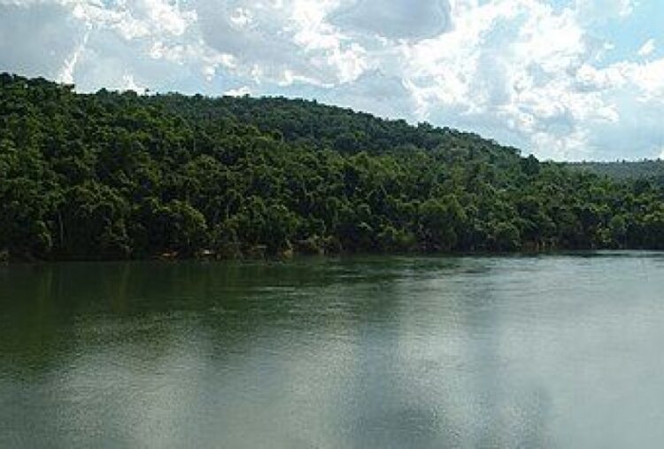Vista parcial do Rio Paranapanema. (Foto: Divulgação)