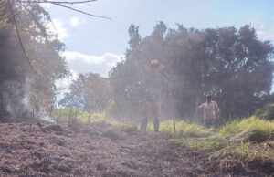 Defesa Civil de Taquarituba atua no combate a incêndio criminoso Equipe da Defesas Civil taquaritubense agiu rapidamente. (Foto: Divulgação/Prefeitura de Taquarituba)