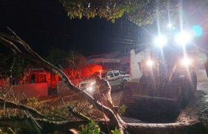 Vendaval provocado por ciclone extratropical causa estragos em Taquarituba Árvores caíram nas vias e precisaram ser retiradas. (Foto: Divulgação/Prefeitura de Taquarituba)