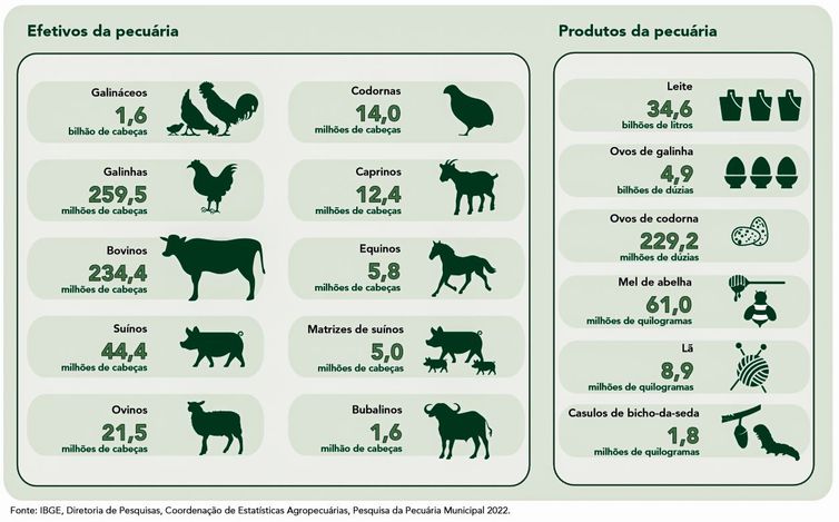 Efetivos da pecuária nacional em 2022. (Foto: IBGE/Divulgação)