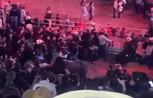 Boi invade arena onde público aguardava show de Ana Castela em Avaré Touro acabou ferindo pessoas que aguardavam o show de Ana Castela na Emapa, em Avaré. (Foto: Reprodução)