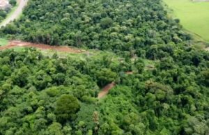 Proprietário que desmatou 18 mil m² em Taquarituba é multado em quase R$ 3 milhões Área desmatada em Taquarituba. (Foto: Reprodução/TV Tem)