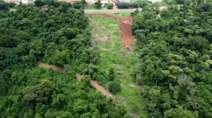 Área desmatada em Taquarituba. (Foto: Reprodução/TV Tem)