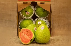 Exportações de goiaba crescem 580% em três anos no norte do Paraná Goiaba de Carlópolis possui o selo IG e é reconhecida pela qualidade no Brasil e no exterior. (Foto: Divulgação)