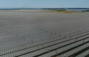 SP é líder na geração própria de energia solar e atinge 4 gigawatts de potência instalada Complexo solar em Pereira Barreto é o maior do estado. (Foto: Reprodução/TV Globo)