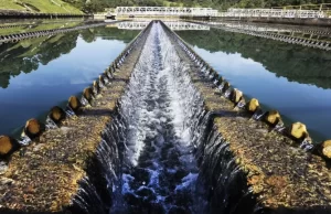 Entenda como o estado de SP pretende apoiar municípios durante a estiagem Imagem ilustrativa. (Foto: Divulgação)