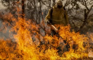Entenda as linhas de investigação dos incêndios florestais no país Brasil registra quase 200 mil focos desde o início do ano. (Foto: Marcelo Camargo/Agência Brasil)