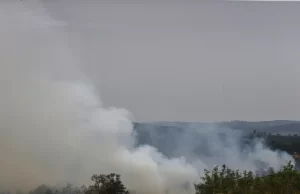 Passa de 2.300 número de animais da pecuária mortos em incêndios no interior de SP Foco de incêndio próximo à Rodovia Castello Branco no final de agosto. (Foto: Paulo Pinto/Agência Brasil)