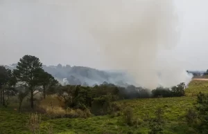 Multas por queimadas no estado de SP somam R$ 25 milhões somente em 2024 Apesar da diminuição considerável em focos ativos, o alerta para queimadas no estado tem previsão de aumento das áreas em situação de emergência. (Foto: Paulo Pinto/Agência Brasil)