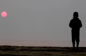 Candidatos eleitos devem ter propostas para conselhos tutelares, alertam educadores Órgãos são autônomos, mas recebem apoio do poder municipal. (Foto: Juca Varella/Agência Brasil)