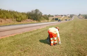 Mais de 1,5 bilhão de toneladas de lixos foram descartados em rodovias concedidas do estado O lixo descartado inadequadamente nas rodovias é uma ameaça, uma vez que os resíduos prejudicam o sistema de escoamento da chuva. (Foto: Governo de SP)
