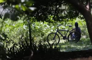 Outono começa com previsão de temperaturas acima da média Estação teve início nesta quinta-feira (20) e termina no dia 20 de junho. (Foto: Paulo Pinto/Agência Brasil)