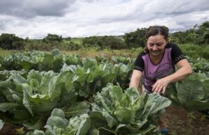 Evento para mulheres empreendedoras do agro estará em Fartura nesta segunda (14) Imagem ilustrativa. (Foto: EBC)