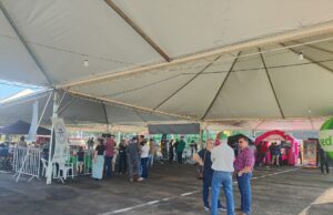 Sebrae participa de eventos do Dia do Agricultor em Cerqueira, São Pedro do Turvo e Bernardino de Campos Encontro do Agronegócio em Cerqueira César. (Foto: Divulgação)