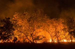 Estado de São Paulo entra na semana de maior risco para incêndios no ano O governo instalou um Gabinete de Crise no Palácio dos Bandeirantes. (Foto: Jader Souza/AL Roraima)