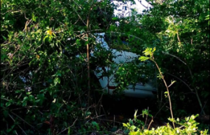 Motorista escapa ileso após carro despencar de barranco em Itaí O Corpo de Bombeiros foi acionado para atender a ocorrência. (Foto: Reprodução)