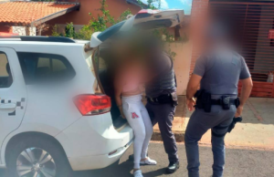 Mulher abandona filhotes em bolsa fechada, agride voluntários ao ser identificada e é detida pela polícia A lei prevê penalidades que podem incluir detenção, multa e, especificamente para cães e gatos, reclusão de 2 a 5 anos. (Foto: Reprodução)