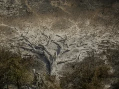 Efeitos das mudanças climáticas já afetam 85% dos brasileiros, diz pesquisa Muitas regiões do país têm apresentado mudanças drásticas no clima. (Foto: Joédson Alves/Agência Brasil)