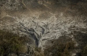 Efeitos das mudanças climáticas já afetam 85% dos brasileiros, diz pesquisa Muitas regiões do país têm apresentado mudanças drásticas no clima. (Foto: Joédson Alves/Agência Brasil)