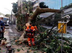 Rede elétrica mais resiliente requer investimento de concessionárias, alertam especialistas Especialistas discutem como minimizar efeitos do mau tempo na distribuição de energia. (Foto: Tânia Rêgo/Agência Brasil)
