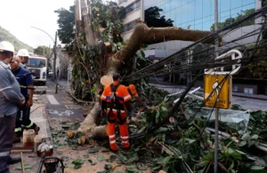 Rede elétrica mais resiliente requer investimento de concessionárias, alertam especialistas Especialistas discutem como minimizar efeitos do mau tempo na distribuição de energia. (Foto: Tânia Rêgo/Agência Brasil)