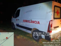 Acidente envolvendo capivaras e três veículos é registrado na SP-255 em Itaí Acidente foi na Rodovia Eduardo Saigh (SP-255). (Foto: Divulgação)