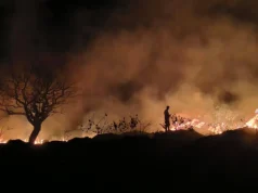 Incêndio de grandes proporções mobiliza Bombeiros e Defesa Civil de Avaré Equipes permaneceram no local realizando o trabalho de rescaldo. (Foto: Divulgação)