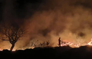 Incêndio de grandes proporções mobiliza Bombeiros e Defesa Civil de Avaré Equipes permaneceram no local realizando o trabalho de rescaldo. (Foto: Divulgação)