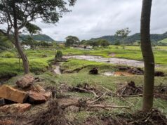 Após chuva intensa, Fartura mobiliza força-tarefa para recuperar estradas Estragos na área rural mobiliza força-tarefa após chuvas em Fartura. (Foto: Reprodução/O Sudoeste)